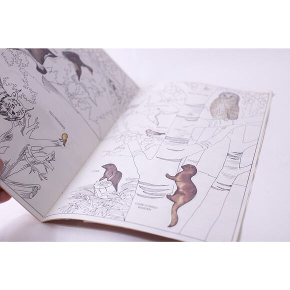 Polar Animals, Sticker Fun, Picture Book, USED, Golden, Learning ~ 250811-WH 501 - Picture 4 of 4